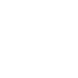crm-customer-data-consulting