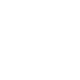 functional-technical-consulting