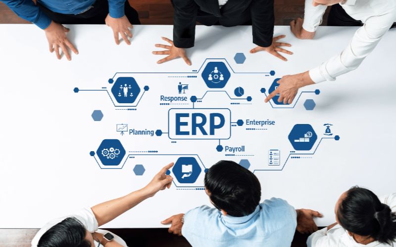 ERP Consultancy