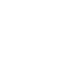 cybersecurity-consulting-vapt