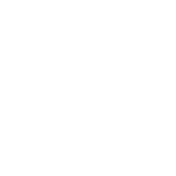 strategy-requirements-definition